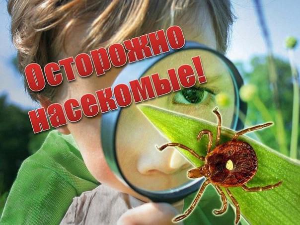 Единый день безопасности. Осторожно насекомые Единый день безопасности. Осторожно насекомые.